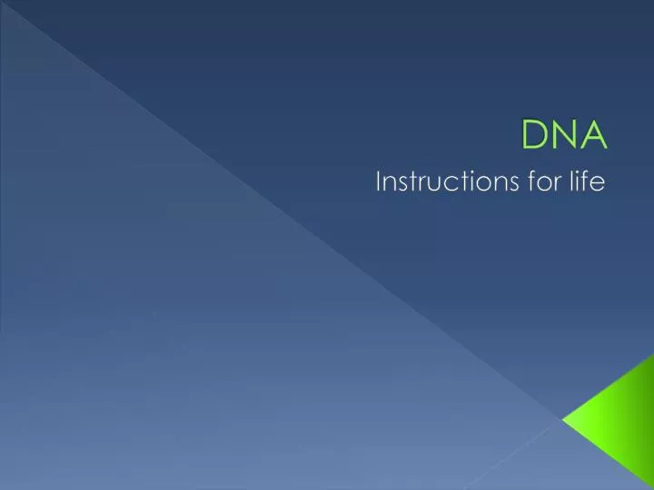 PPT - DNA PowerPoint Presentation, free download - ID:6675452