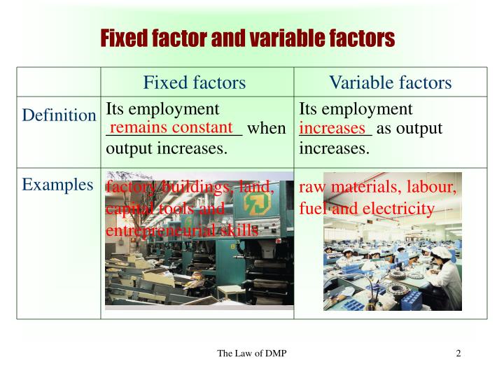 PPT The Law of Diminishing Marginal Returns PowerPoint Presentation