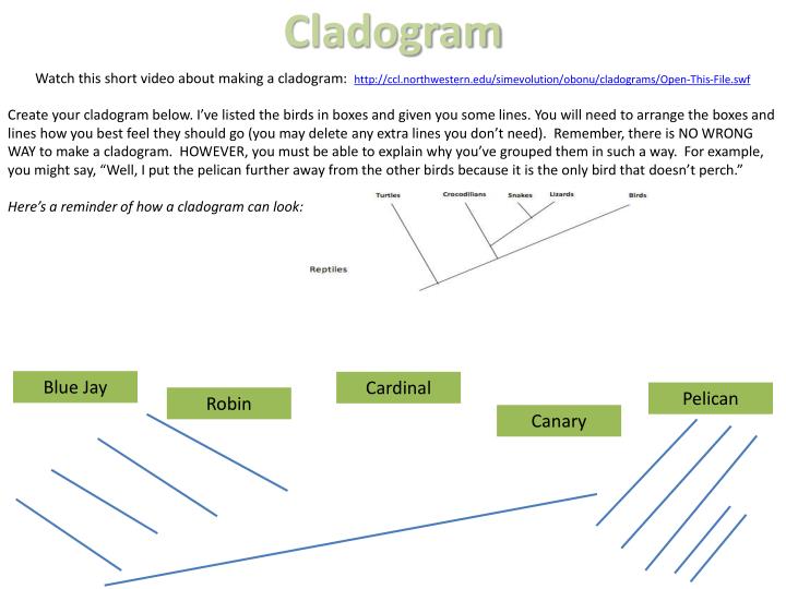 PPT - 06.01 Classification Project PowerPoint Presentation ...
