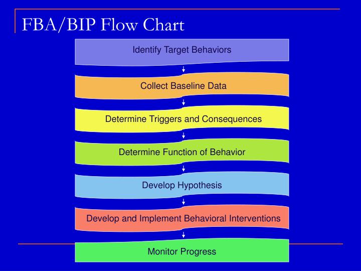 difference between bip and bip lite