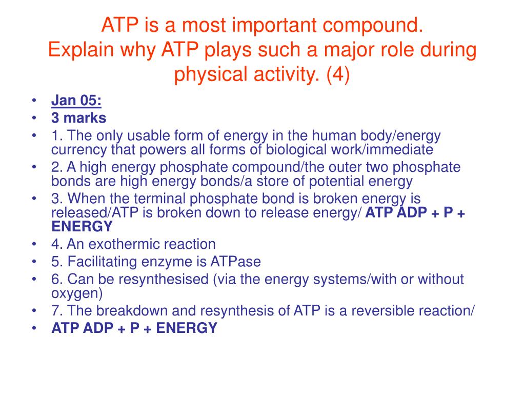 PPT The Energy Systems PowerPoint Presentation, free download ID
