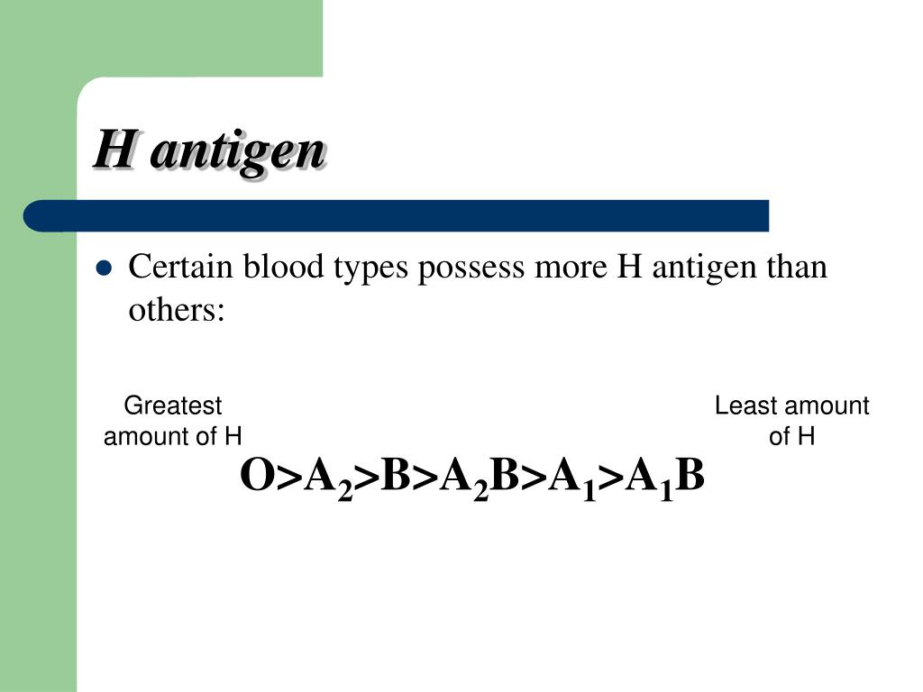 PPT ABO Blood Group System PowerPoint Presentation, free download