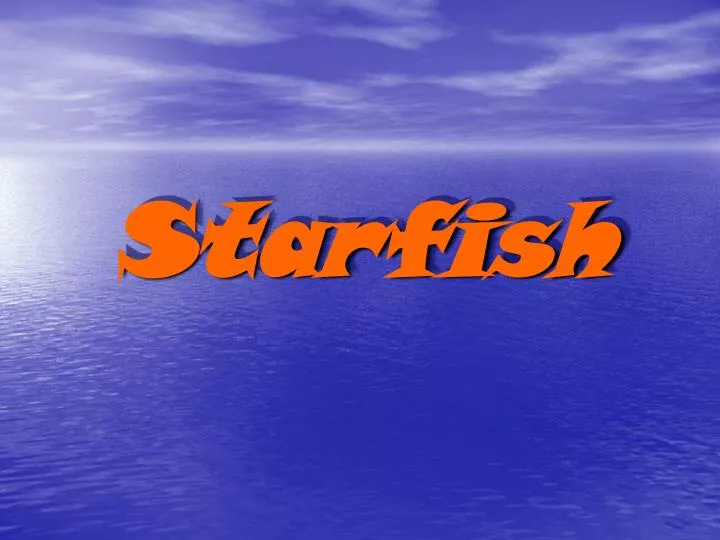 starfish n.