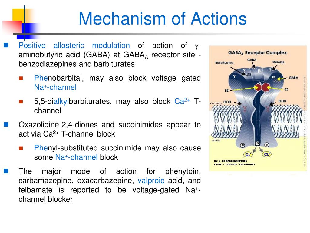 PPT Antiepileptic Drugs PowerPoint Presentation, free download ID