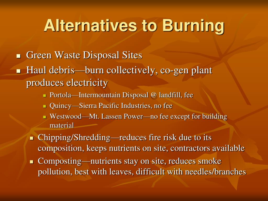 PPT Learn Before You Burn PowerPoint Presentation Free Download ID PPT Learn Before You Burn PowerPoint Presentation Free Download ID