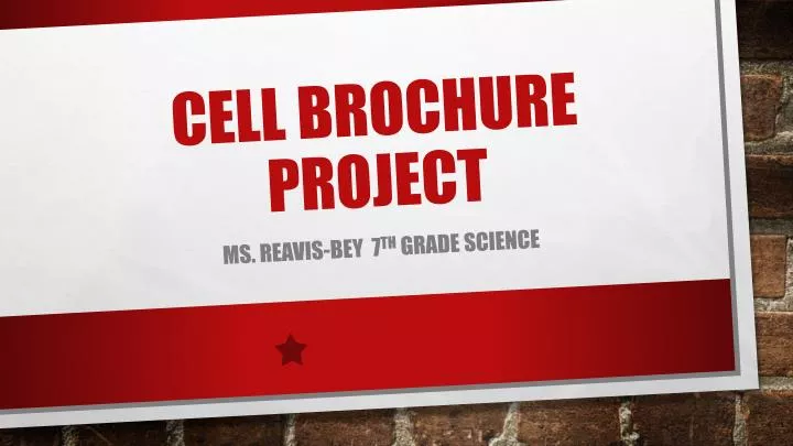 cell brochure project n.