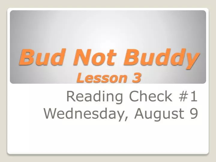 bud not buddy lesson 3 n.