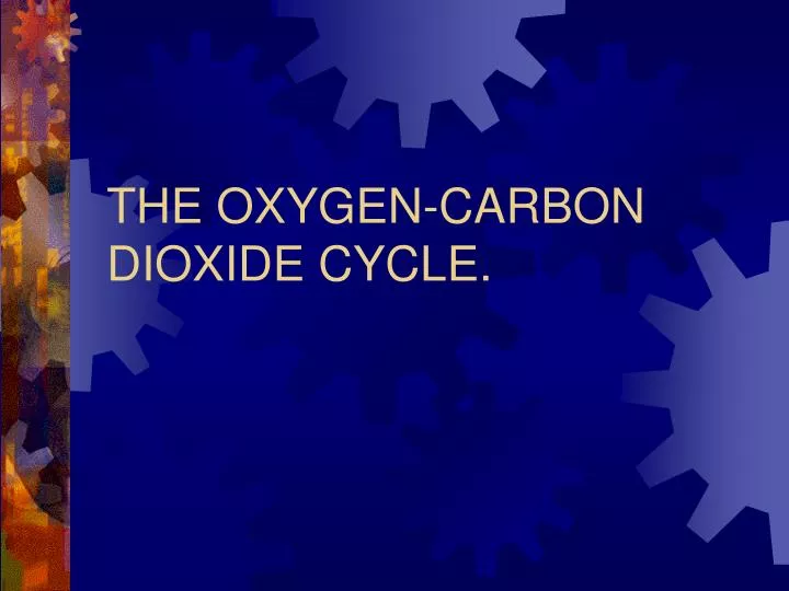 the oxygen carbon dioxide cycle n.