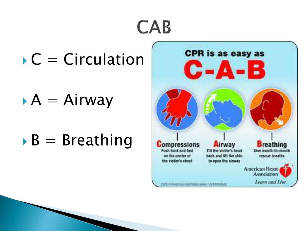 Ppt American Heart Association Aha Guidelines To Cardiopulmonary