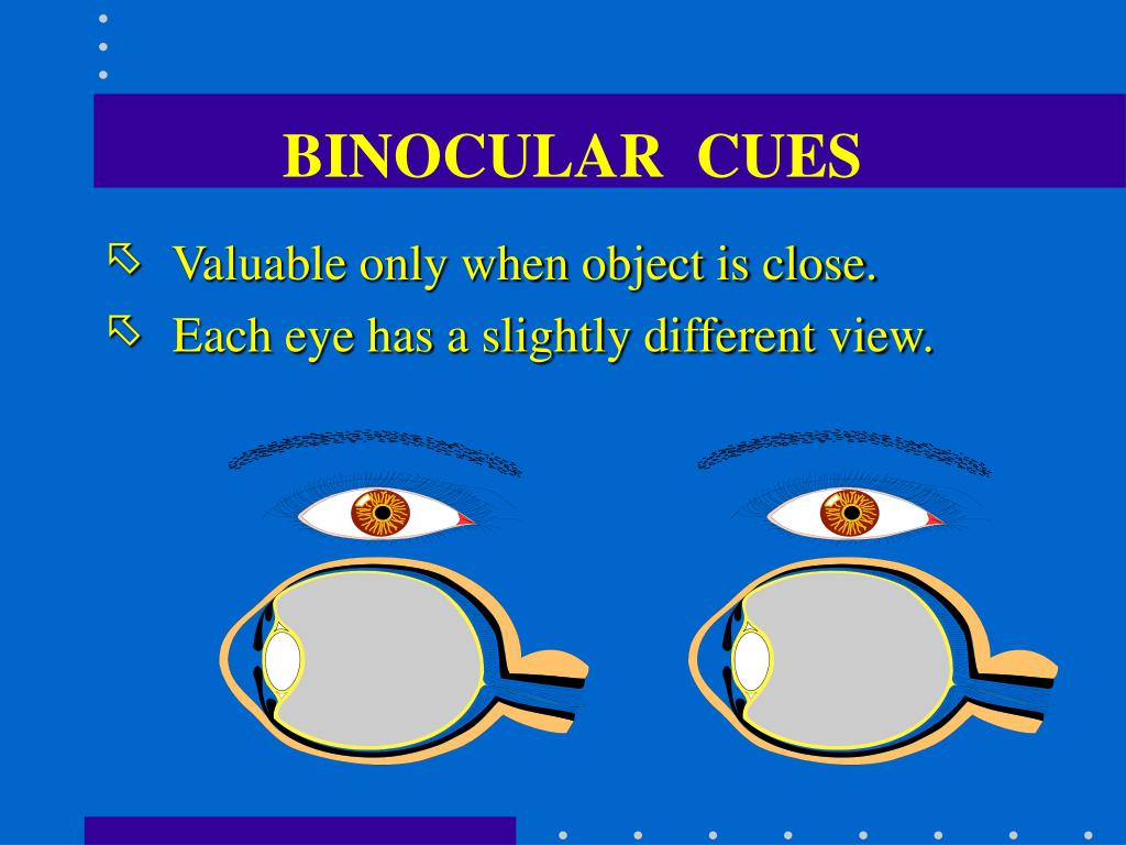 PPT - PHYSIOLOGY OF THE EYE PowerPoint Presentation, free download - ID ...
