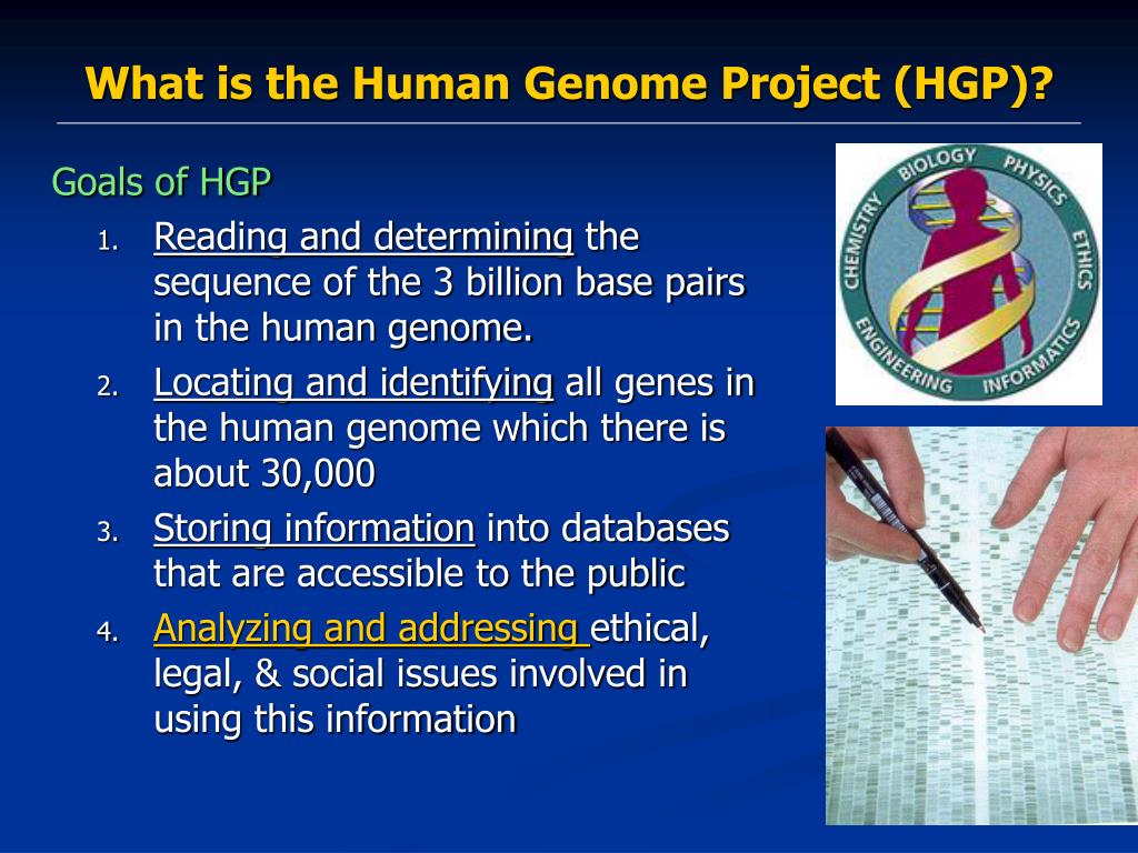 powerpoint presentation on human genome project