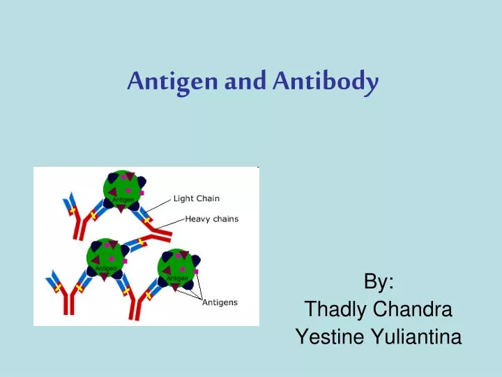 ppt-antigen-and-antibody-powerpoint-presentation-free-download-id