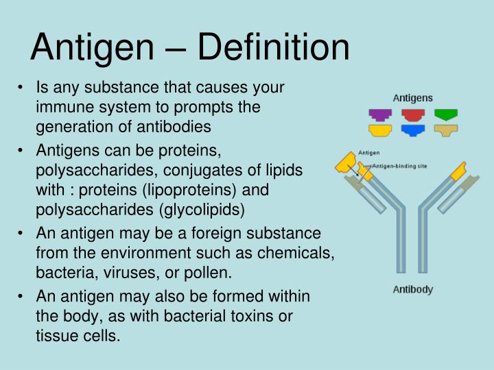 what mean by antigen presentation