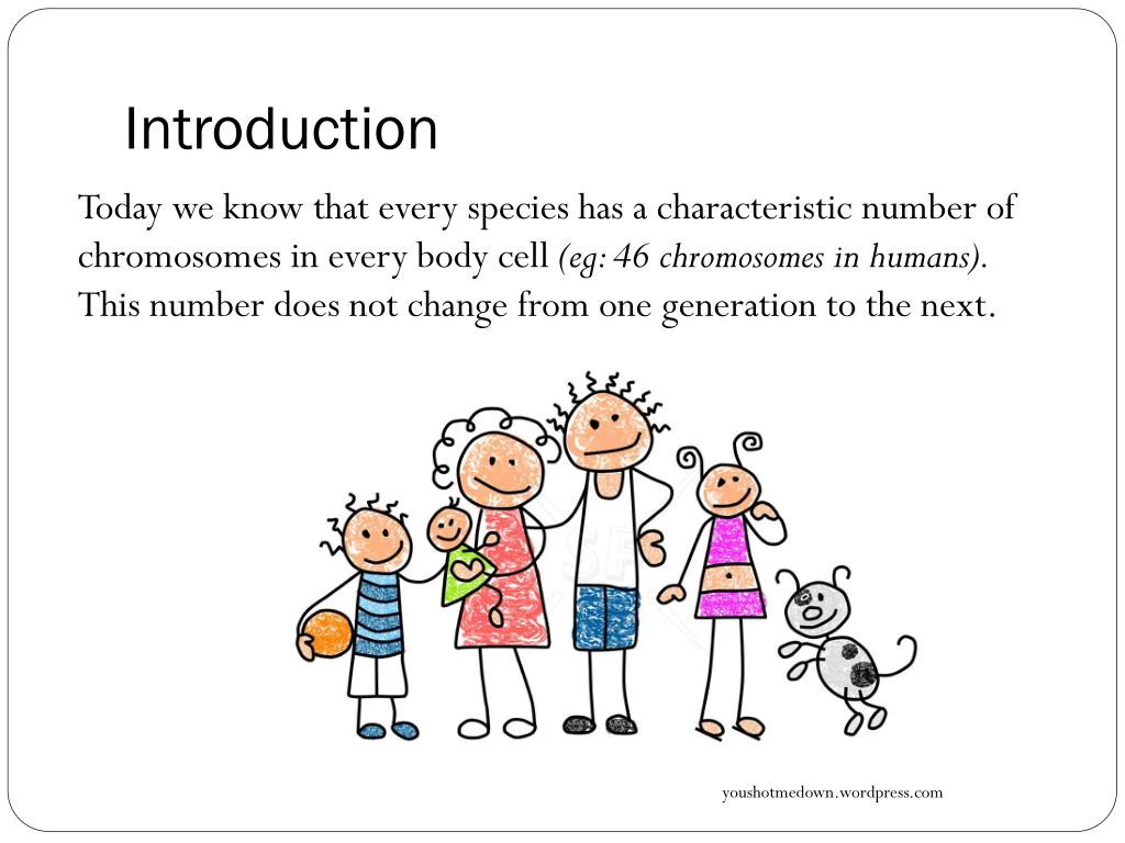 PPT - Blueprint of Life Topic 11: Chromosomes, Meiosis and Gamete ...