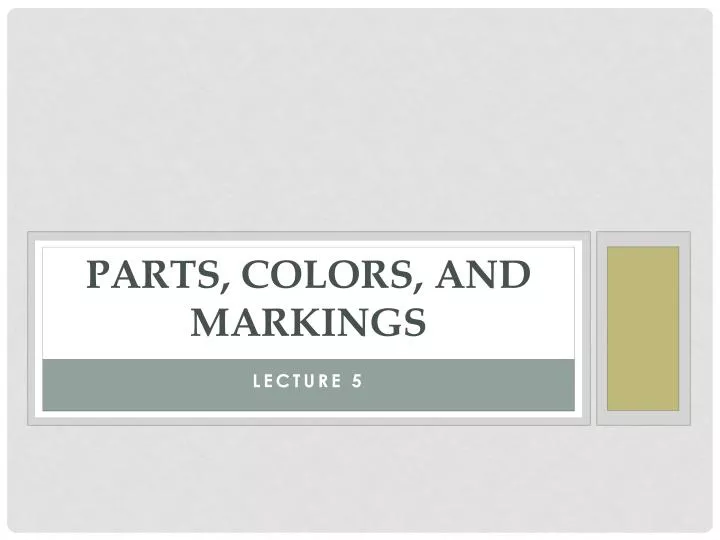 parts colors and markings n.