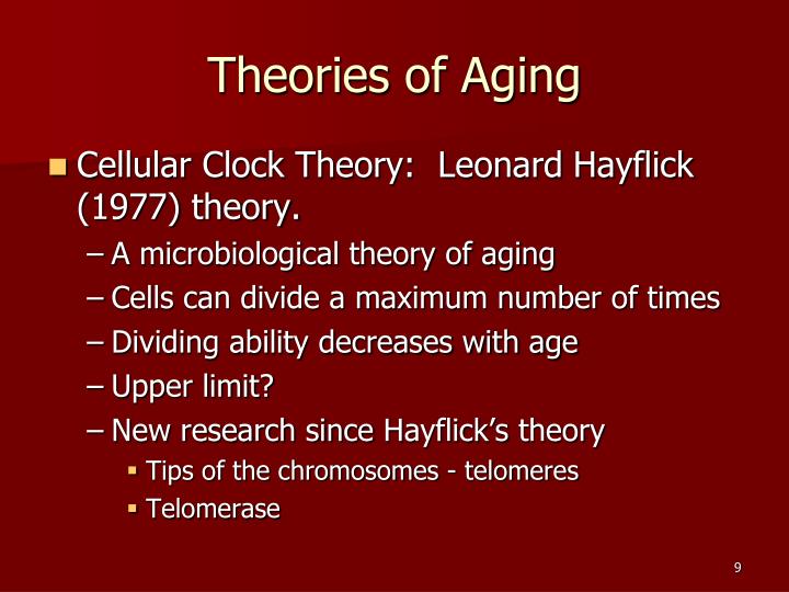 PPT Life Expectancy, Aging, & Centenarian Research