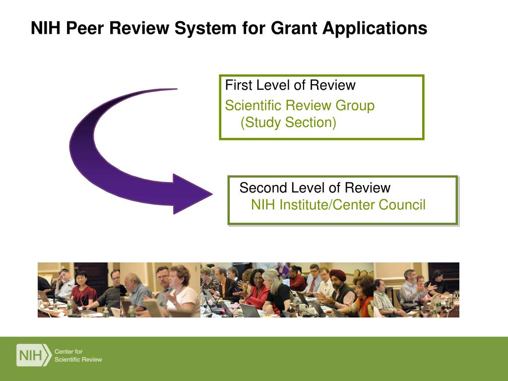 PPT NIH Peer Review Process Grant Renewal PowerPoint Presentation