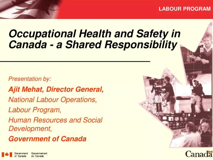 phd in health and safety in canada