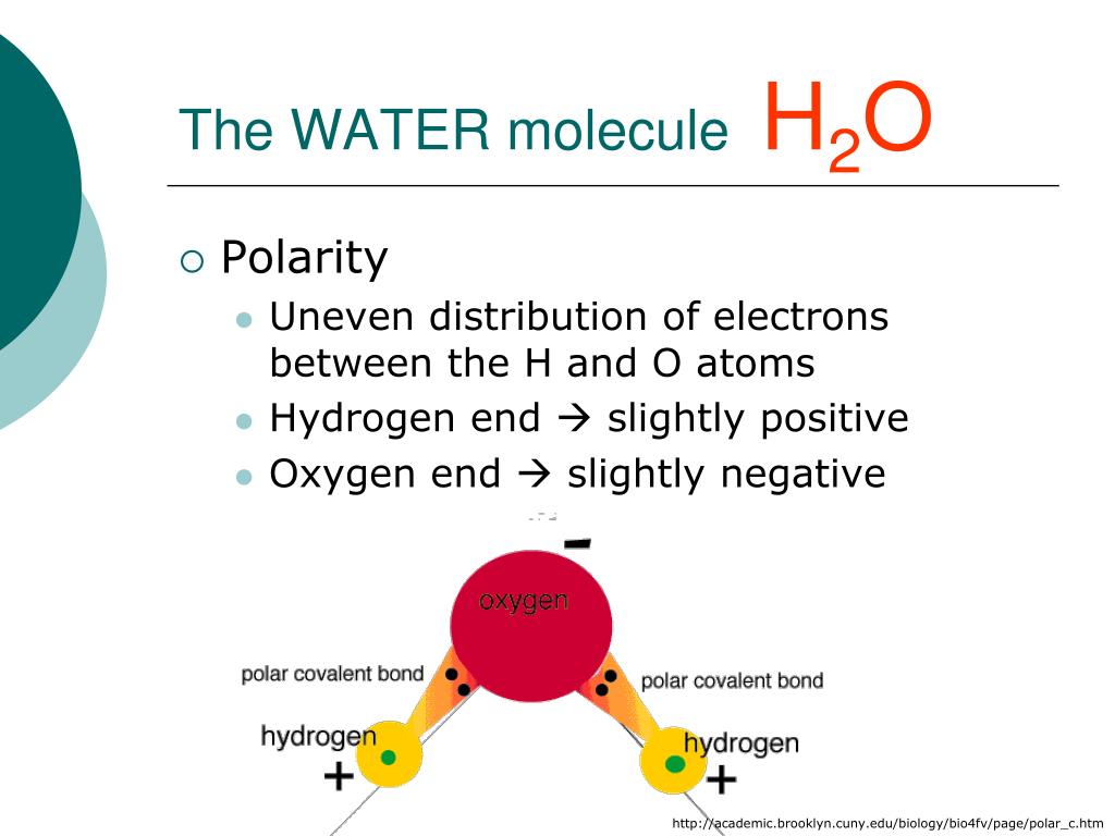 PPT - The Chemistry of Life: PowerPoint Presentation, free ...