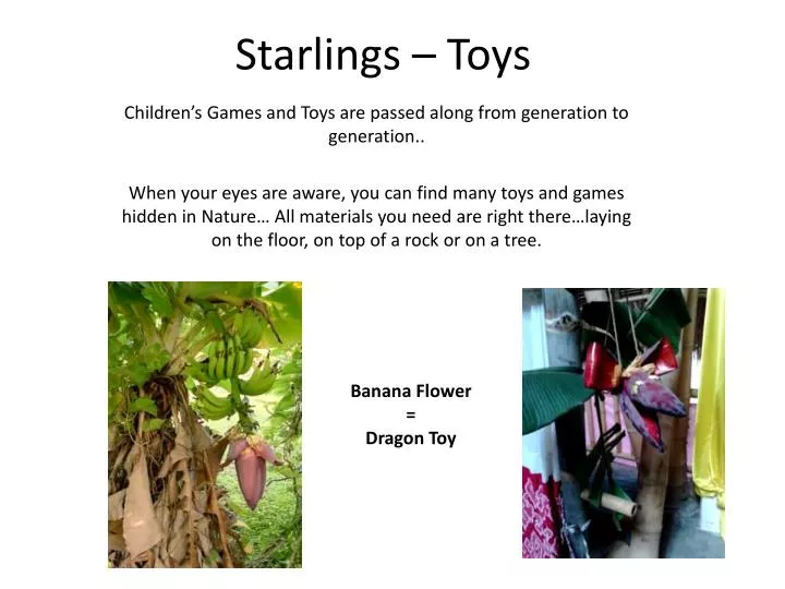 starlings toys n.