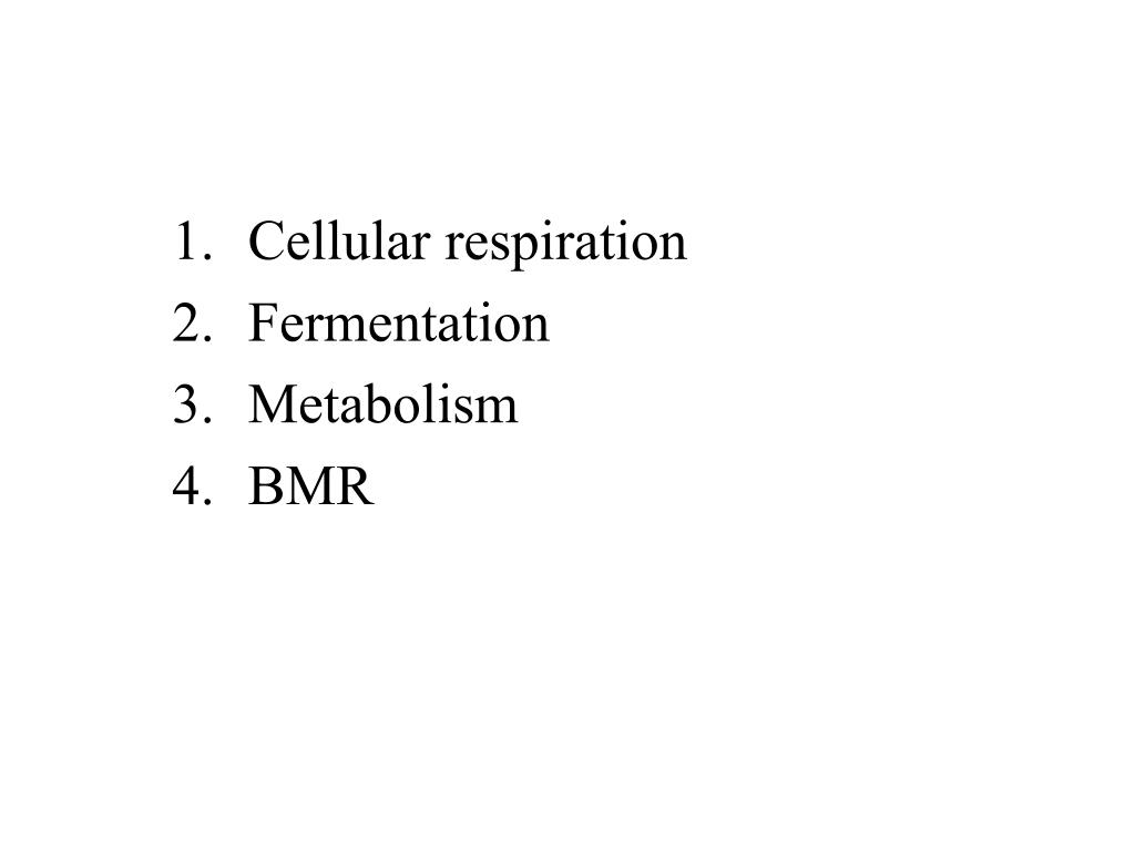 Welcher Stoffwechselweg ist sowohl bei der Zellatmung als auch bei der Fermentation üblich? - Cellular Respiration Fermentation Metabolism Bmr L