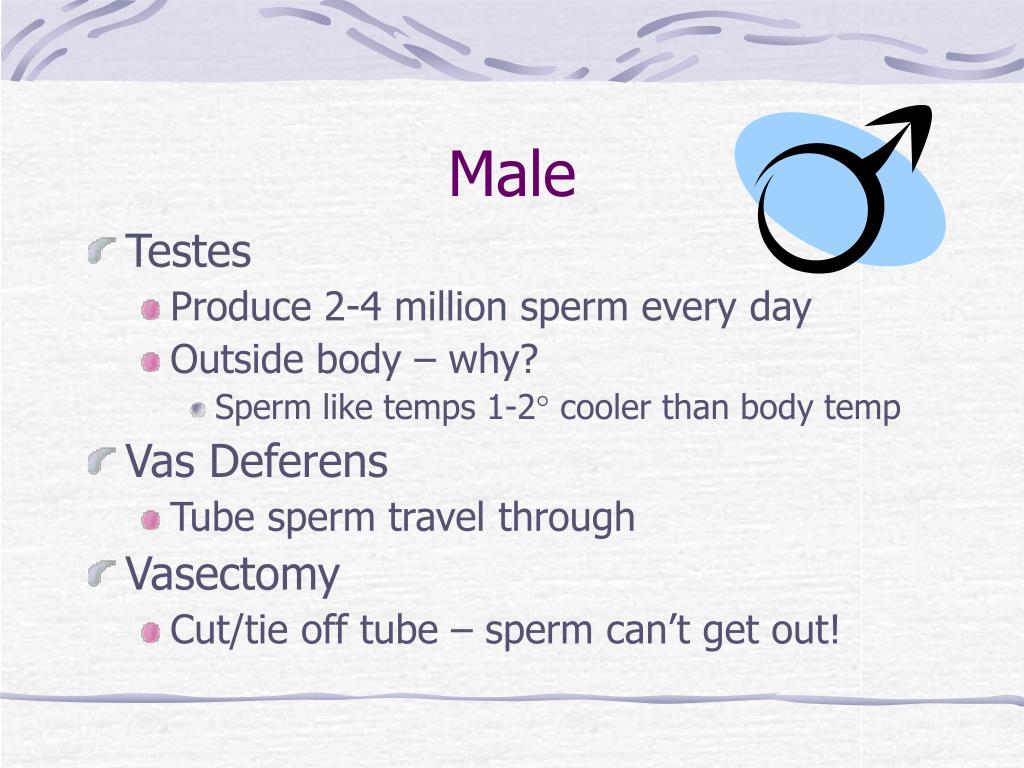 Can sperm survive for 7 days