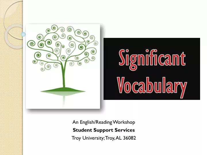 significant vocabulary n.