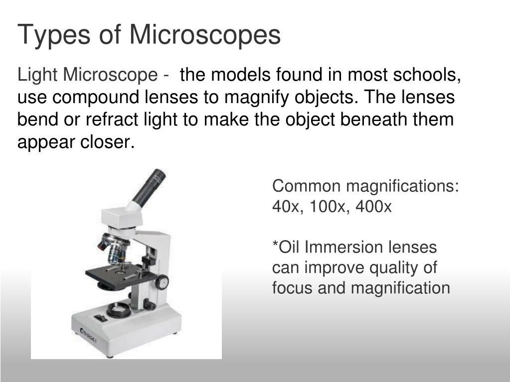 PPT Introduction to the Microscope PowerPoint Presentation, free