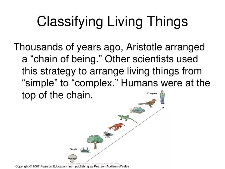 PPT Classifying Living Things PowerPoint Presentation Free Download