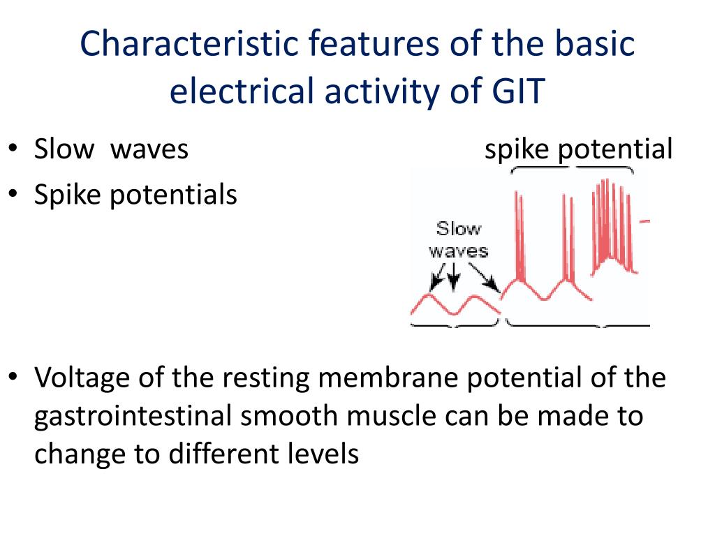 Muscle experiments image