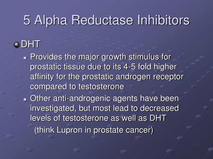 5 Alpha Reductase Inhibitors Dht 5 Alpha Reductase Inhibitors Dht