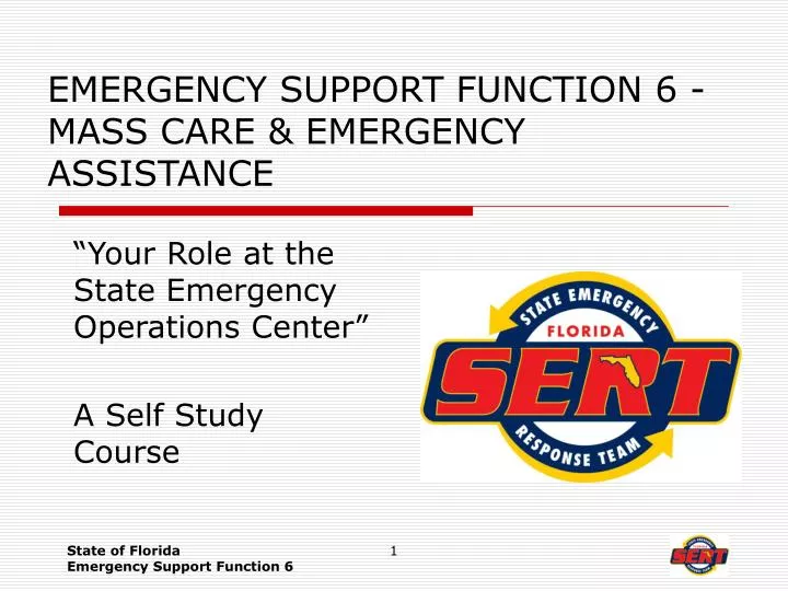 emergency support function 6 mass care emergency assistance n.