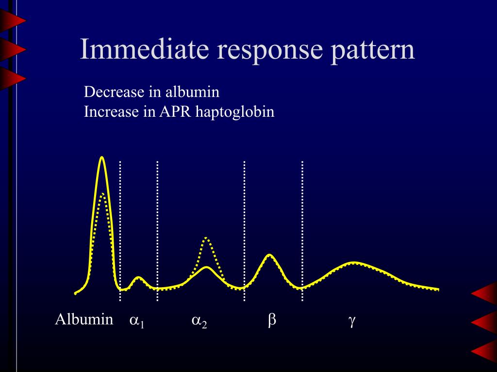 PPT Proteins and Electrophoresis PowerPoint Presentation, free