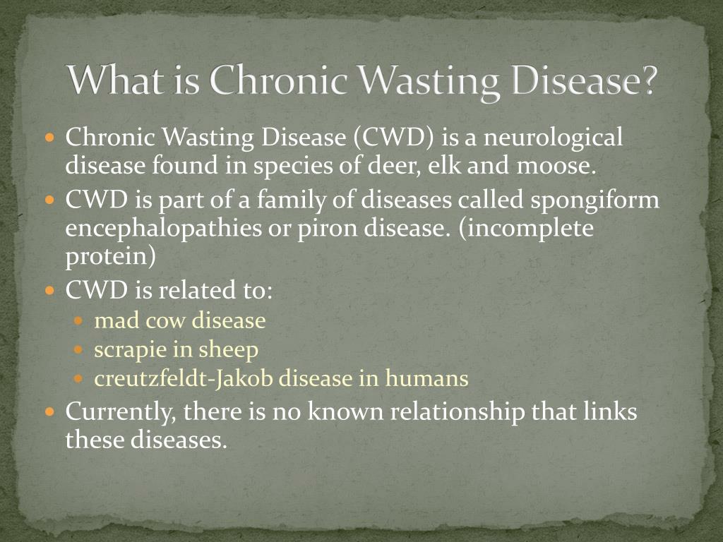 ppt-chronic-wasting-disease-cwd-powerpoint-presentation-free