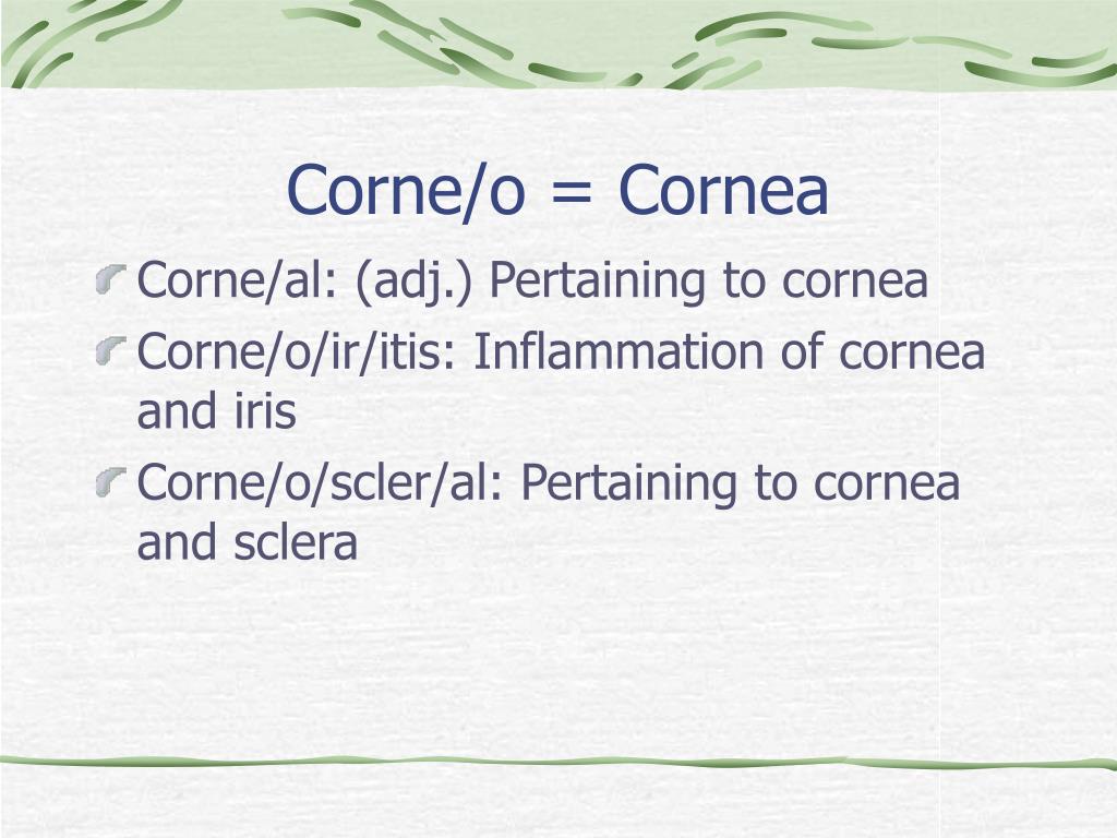 medical term that means unequal pupil size medical term that means unequal pupil size
