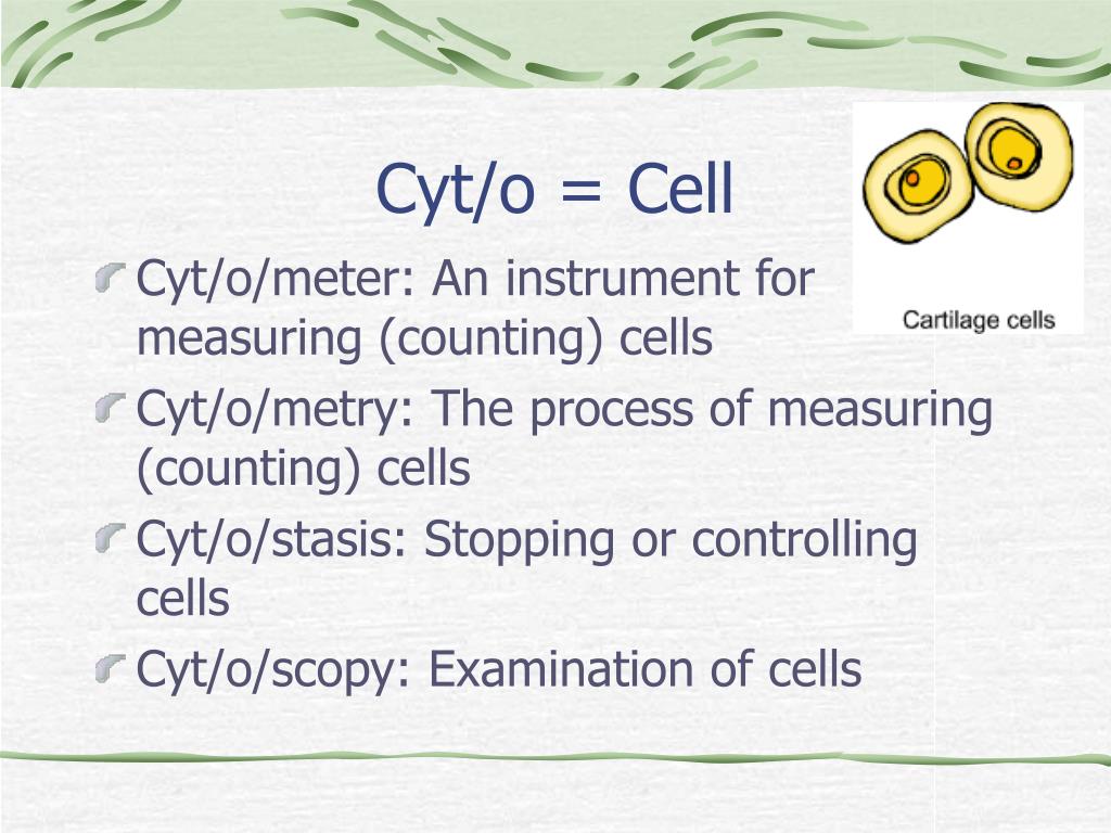 PPT  Medical Terminology PowerPoint Presentation, free download  ID