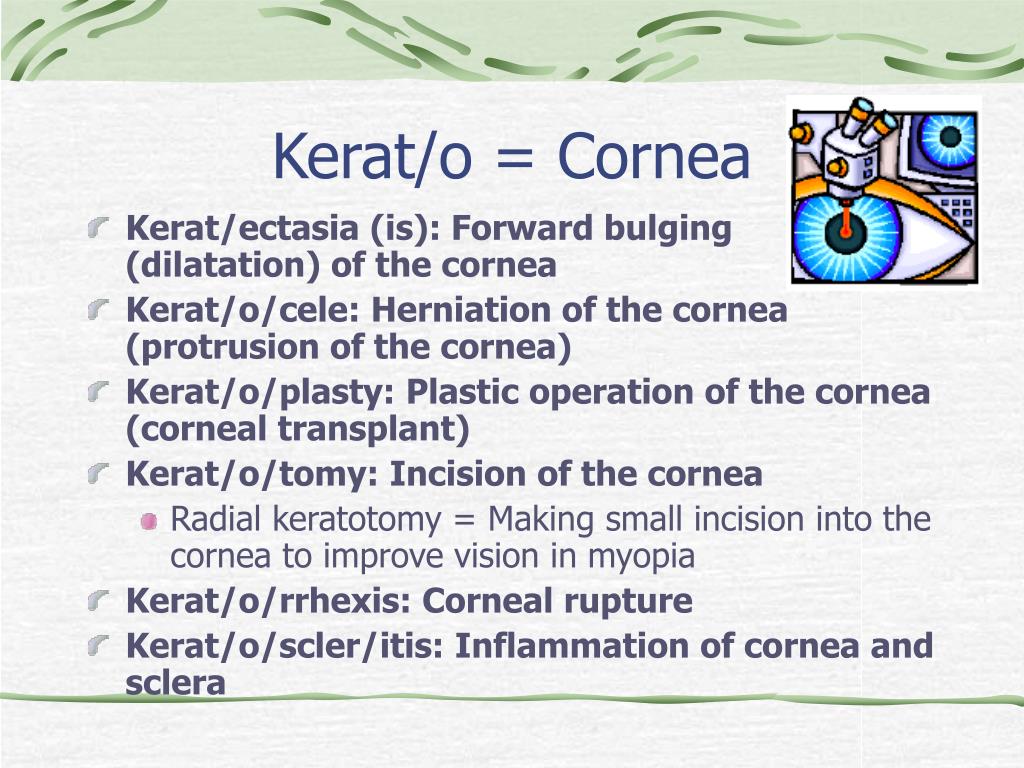 PPT Medical Terminology PowerPoint Presentation, free download ID