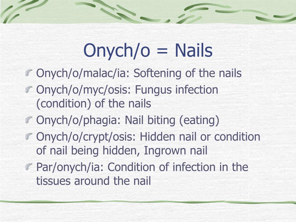 oma medical term oma medical term