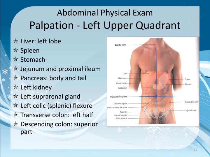 ppt-abdominal-exam-powerpoint-presentation-id-6706245