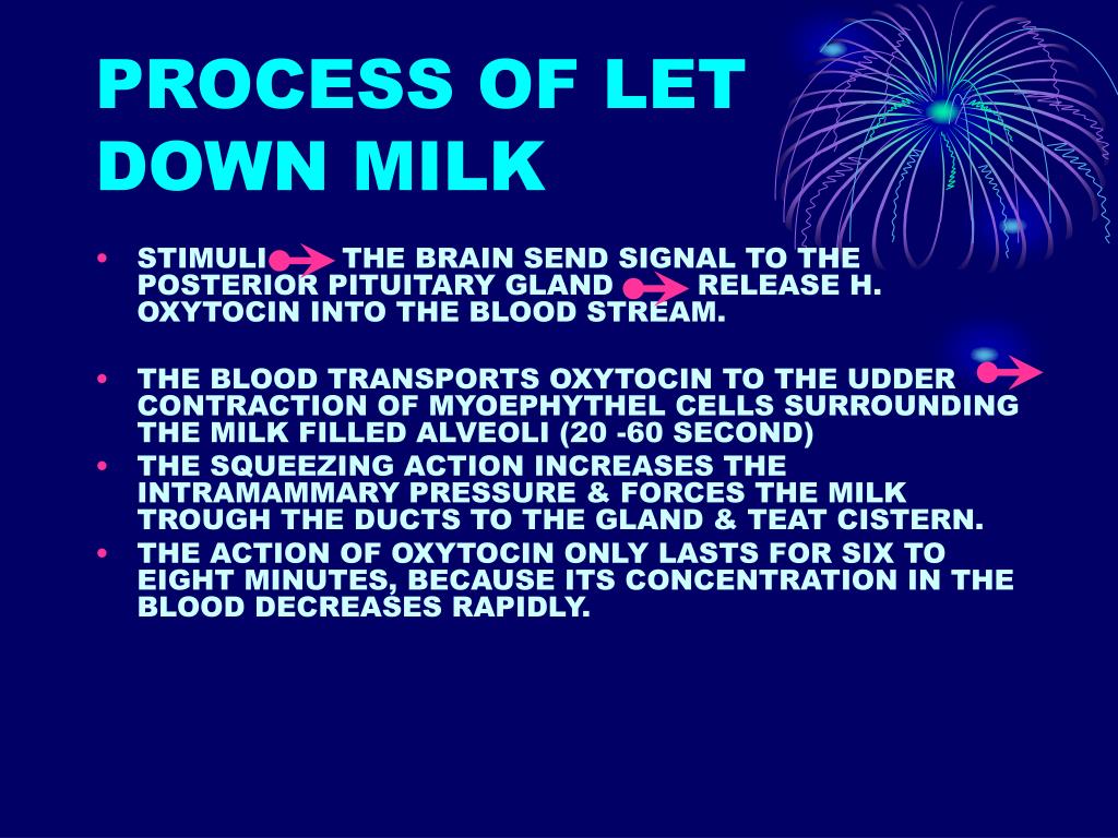 PPT WHAT IS MILK ? PowerPoint Presentation, free download ID6707817