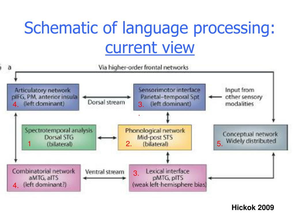 Язык processing