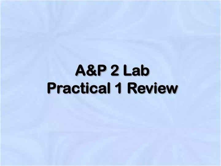 a p 2 lab practical 1 review n.