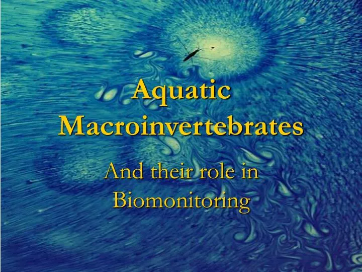 PPT Aquatic Macroinvertebrates PowerPoint Presentation Free Download 