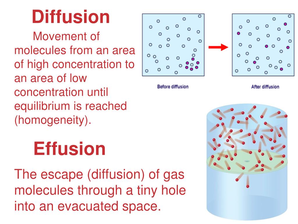PPT Unit 6 Gases & The Molecular Theory PowerPoint