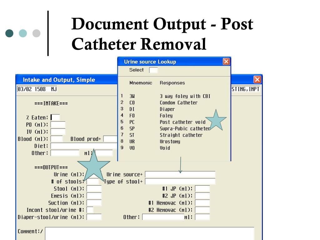 PPT UTI Prevention in Patients with Foley Catheters PowerPoint Presentation ID6715096