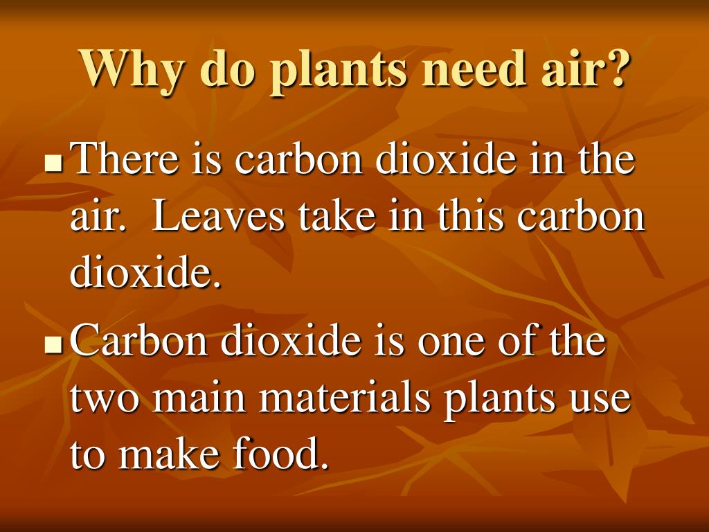 Do plants need air information