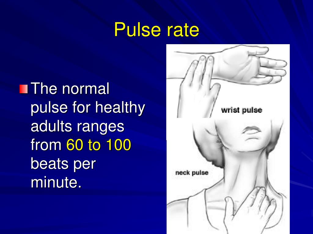 normal pulse rate normal pulse rate