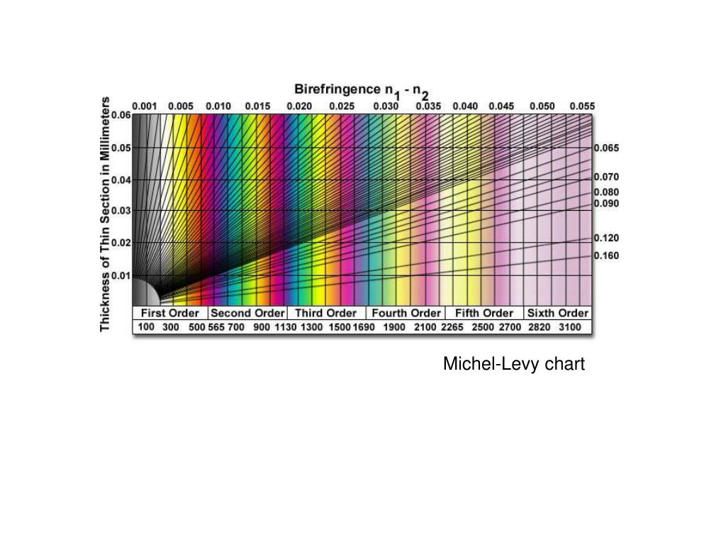 Michael Levy Chart