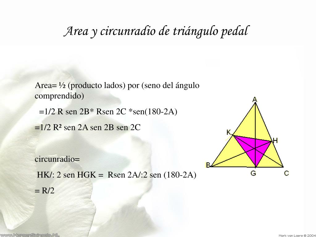 PPT - Propiedades de los Triángulos PowerPoint Presentation, free download  - ID:6718367