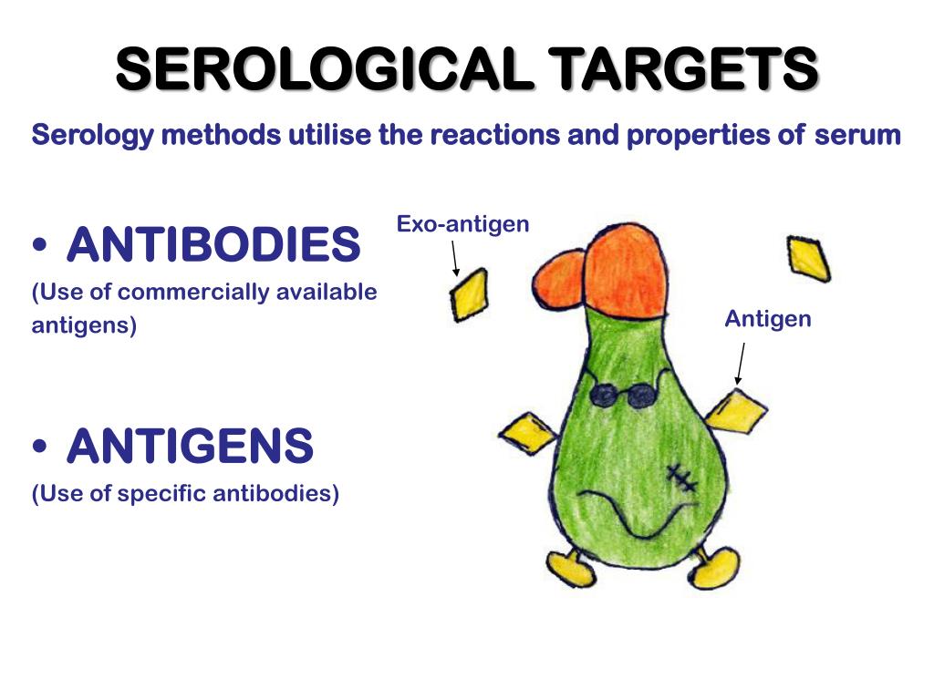 PPT SEROLOGY OF FUNGAL INFECTIONS PowerPoint Presentation, free PPT SEROLOGY OF FUNGAL INFECTIONS PowerPoint Presentation, free